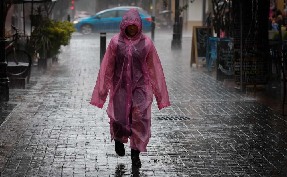 Capitalinos se protegen de la lluvia que se registra esta tarde en la zona centro de la Ciudad de México (14/07/25). Foto: Diego Simón Sánchez/ EL UNIVERSAL