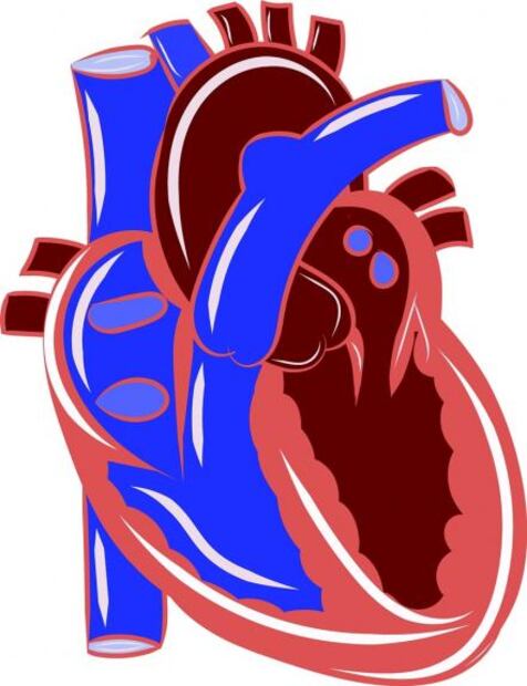 ¿Qué le pasa a tu cuerpo si comes mucha carne?