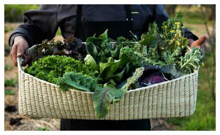 De las chinampas en Xochimilco a tu cocina