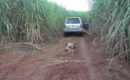 Bodies of eight slain men found in Cosolapa, Oaxaca