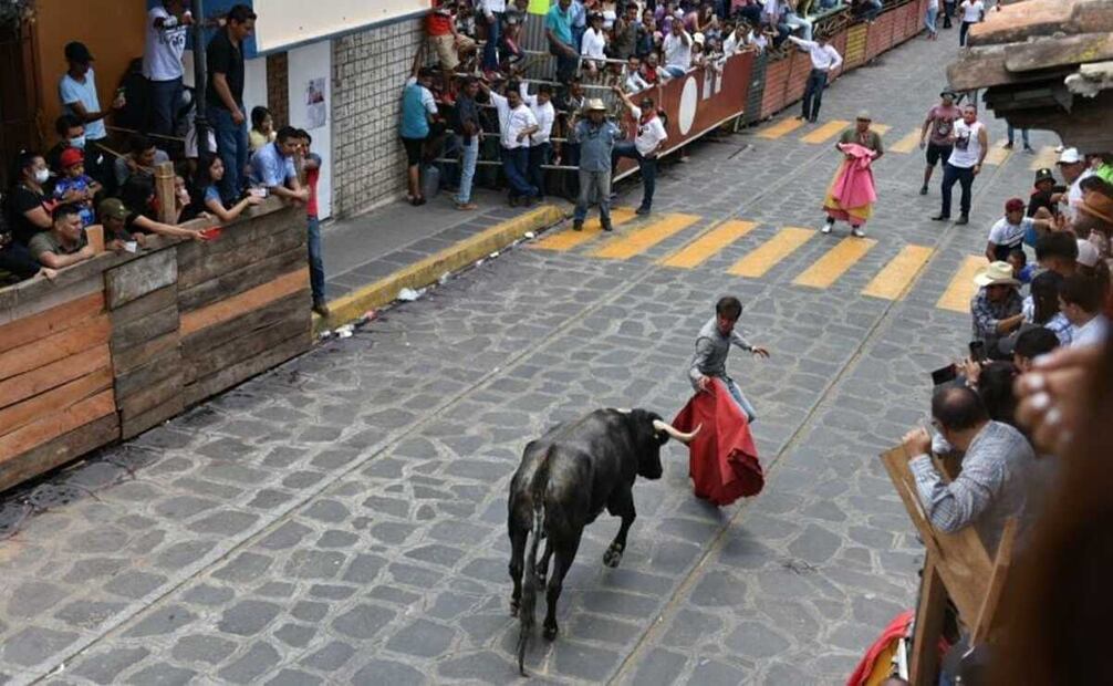 Toro de lidia. Foto: Especial 