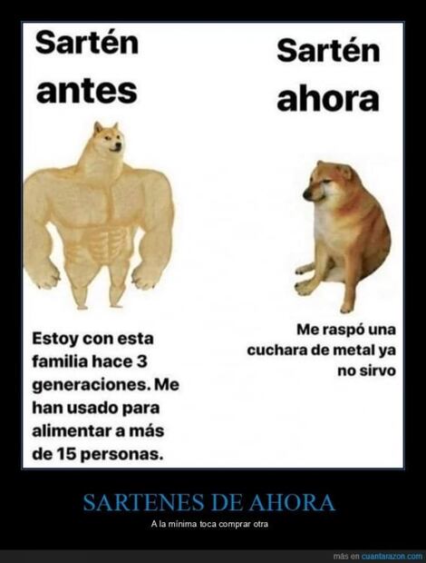 Los mejores memes de cheems, el perrito que nos muestra el antes y el ahora