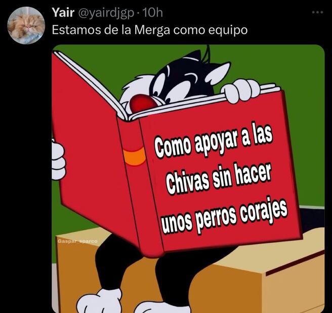 Los MEJORES MEMES de un nuevo fracaso de Chivas