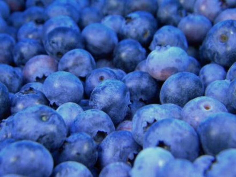 Alimentos bajos en carbohidratos