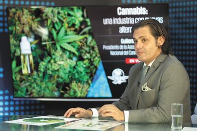 “Cáñamo, primo de la marihuana, crearía una economía verde”