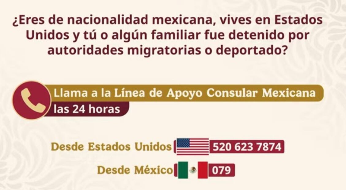 Líneas de apoyo