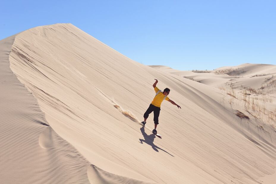 Foto: Fidetur Chihuahua