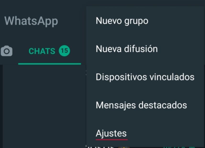 Cómo saber quién puede ver tu ubicación en WhatsApp