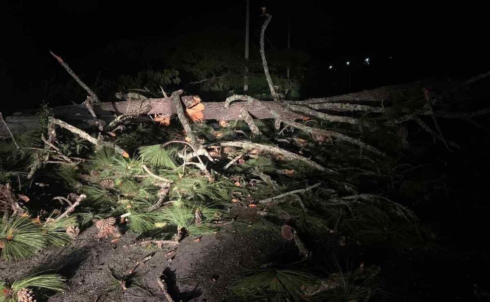 Pobladores aseguraron que han visto hombres con armas desplazarse en camionetas todo terreno. Foto: Especial