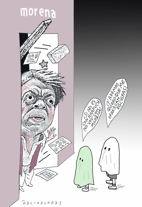 Cartón de HELIOFLORES