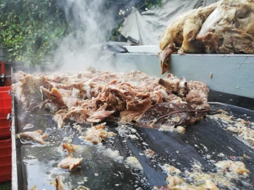 Lugares para comer barbacoa en la CDMX