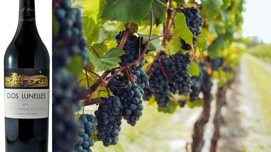 Clos Lunelles, Côtes de Castillon. Foto: Especial