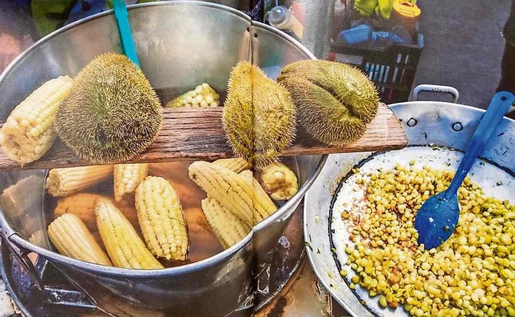 El fotógrafo recorrió la Ciudad de México para captar tradiciones y elementos prehispánicos que prevalecen en los tiempos actuales. Foto: Libro "Tenochtitlan"