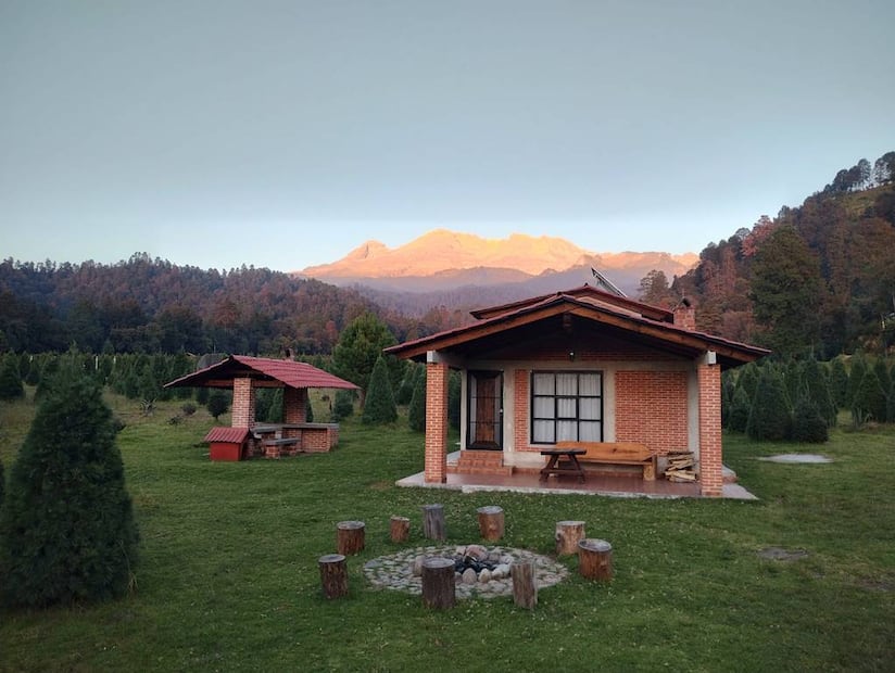 Foto: Bosque Esmeralda