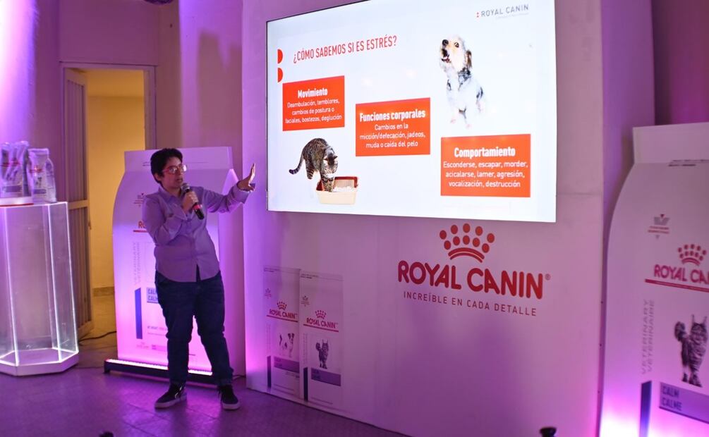 Royal Canin presenta nuevas croquetas para cuidar la salud de las mascotas. / Foto: Especial.