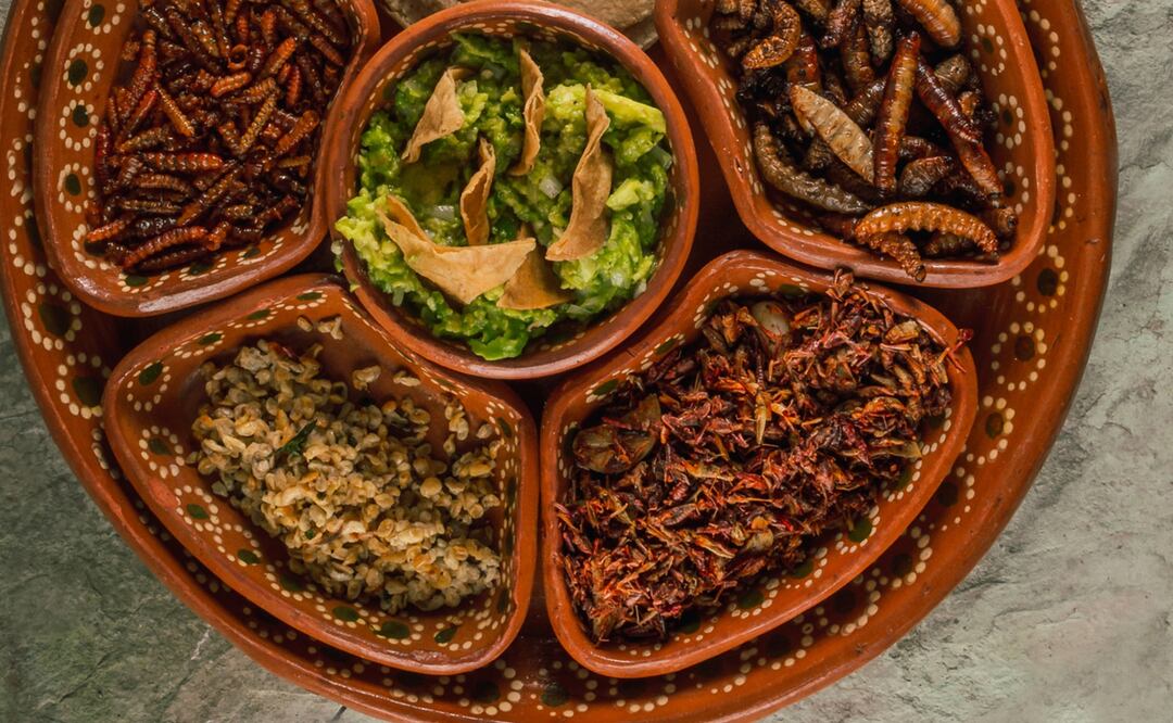 Plato con insectos. Foto: Cortesía