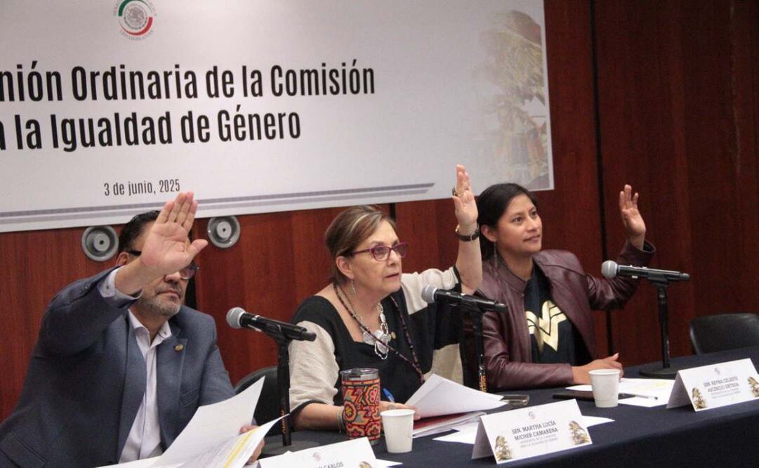 Senado crea subcomisiones para cumplir compromisos internacionales sobre derechos de mujeres. Foto: Especial
