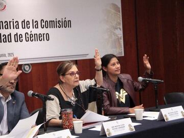 Senadores de Morena buscan participar con tráiler en Marcha del Orgullo LGBT+; "sería una muestra clara de compromiso", dicen