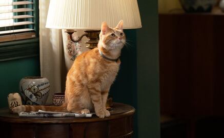 "The Marvels": Así fue grabar con Goose y su equipo de gatitos