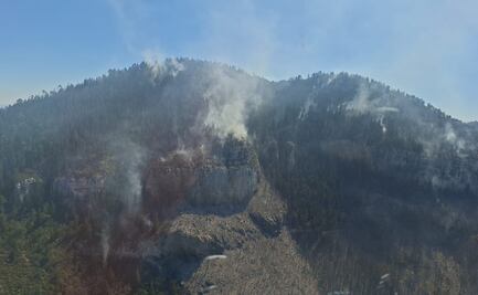 Por tierra y aire, combaten incendio forestal en Miquihuana, Tamaulipas; fuego afecta unas 250 hectáreas de matorral bajo y sotol