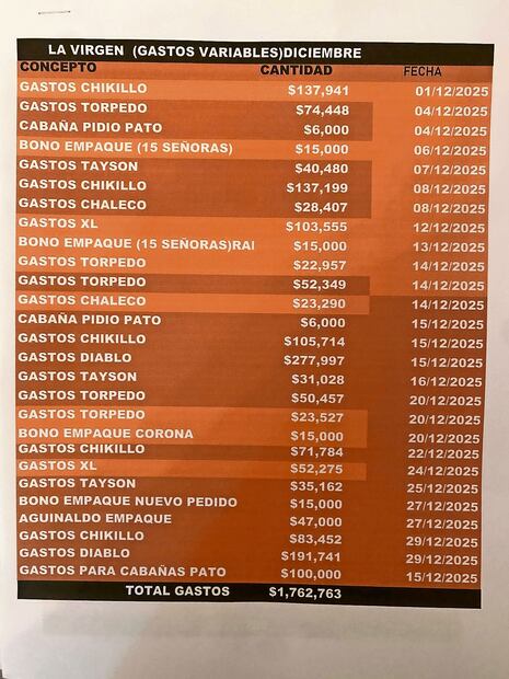 Los documentos que han nutrido las investigaciones periodísticas sobre la
narconómina de El Mencho fueron hallados en Tapalpa.