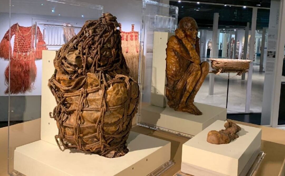 Foto: Archivo/EL UNIVERSAL