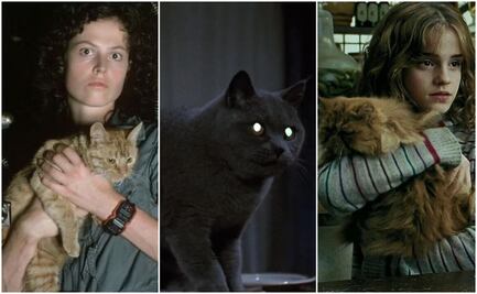 Día del Gato 2025: ¿cuáles son los felinos más famosos de la historia del cine?; esto dice la IA