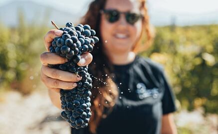 Pouya Wines, un proyecto enológico hecho por mujeres mexicanas