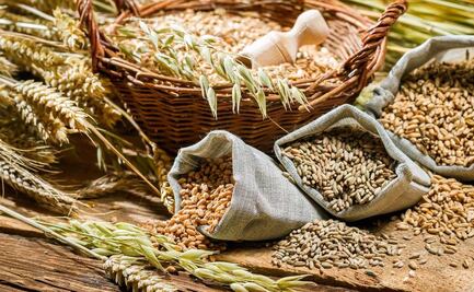 ¿Cómo impacta en México y América el colapso del Acuerdo de Granos del Mar Negro?