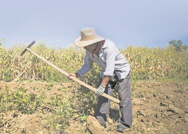 Diputados quitan 326.6 mdp al agro oaxaqueño 