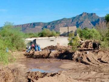 Buscadoras encuentran al menos 14 cuerpos en fosas clandestinas en Guaymas, Sonora