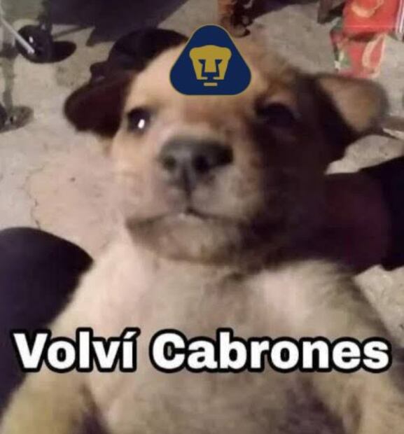 FOTO: ESPECIAL