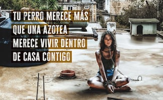 Ale Müller protagoniza campaña con PETA Latino en contra del maltrato animal en México