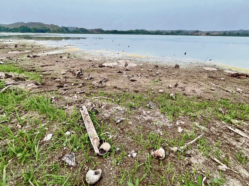 En la laguna San Julián las garzas están perdiendo su lugar para
refrescarse.
