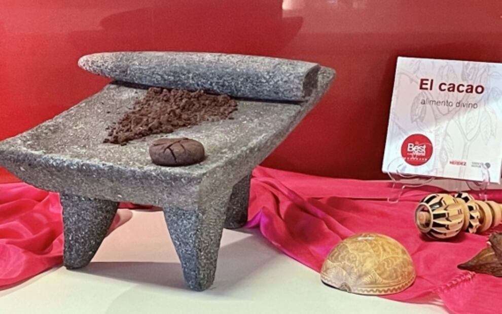 7 datos que no sabías del cacao