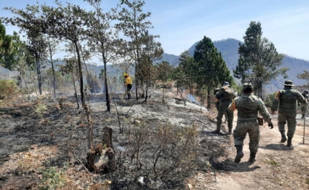 Sedena aplica Plan DN-III por incendios forestales en Los Reyes, Michoacán