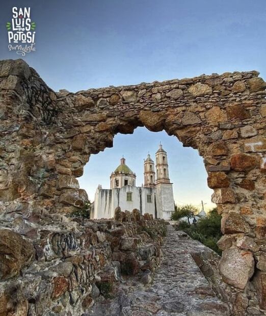 ¿Ya conoces los vinos de San Luis Potosí?