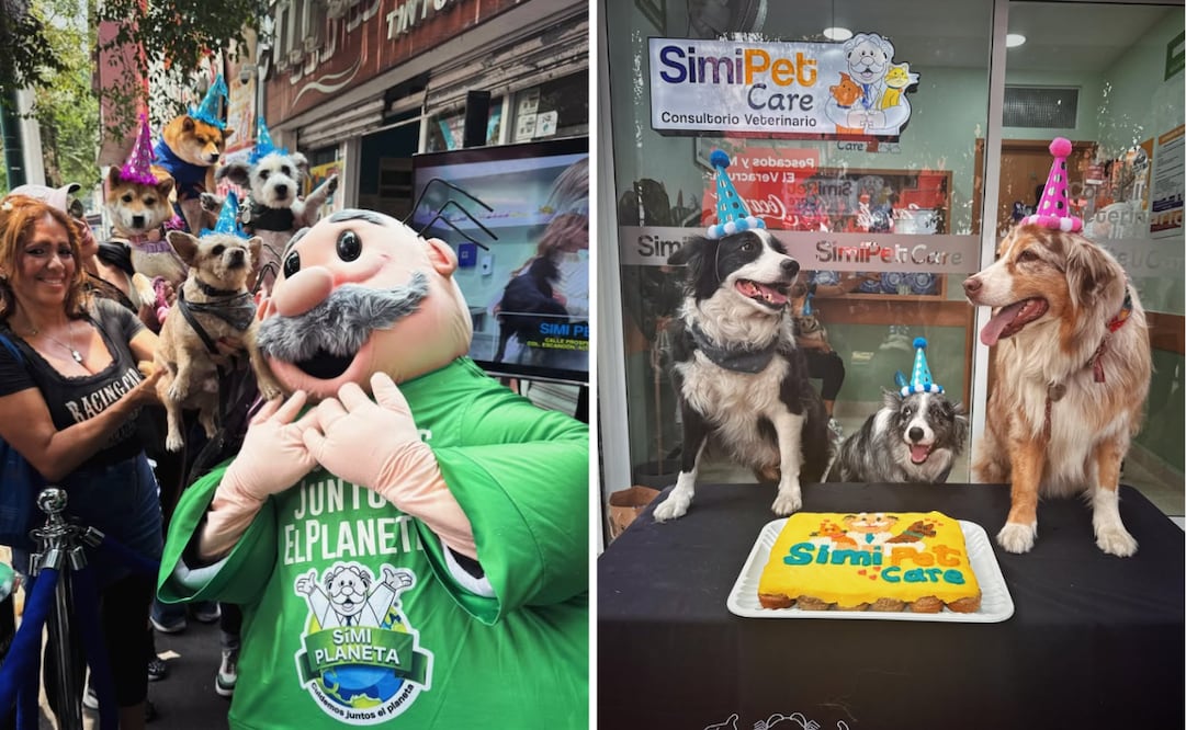Inauguración del primer consultorio veterinario de SimiPet Care en la CDMX. Foto: Instagram