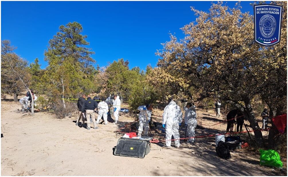 Los cuerpos humanos fueron encontrados en distintas fosas clandestinas de Casas Grandes, Chihuahua (22/01/2025): Foto: Especial