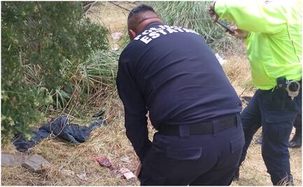 Abandonan a recién nacida en camellón de Metepec; autoridades buscan a sus padres