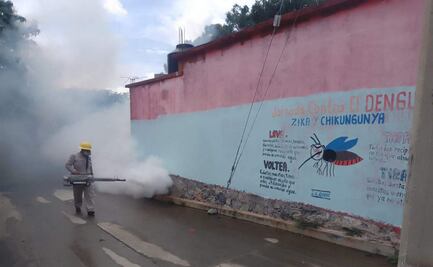 Comienzan acciones contra el dengue en Oaxaca; detectan alto riesgo en 4 municipios