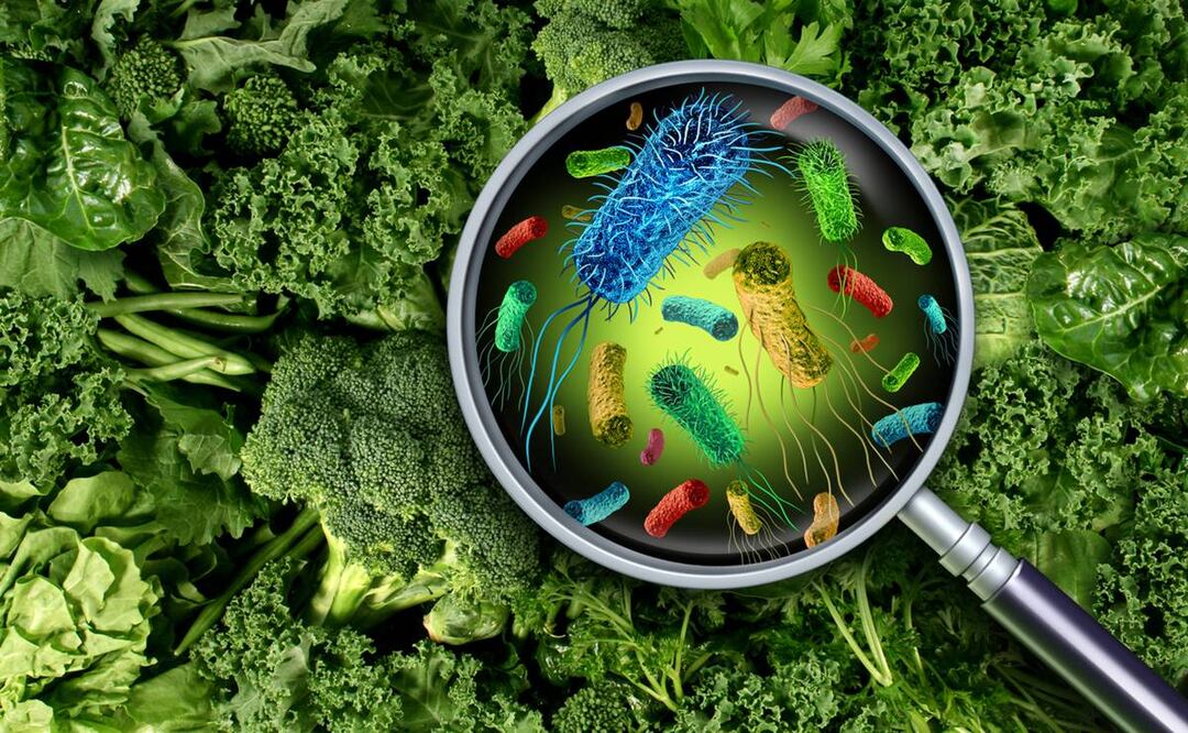 Bacterias en alimentos. Foto: iStock