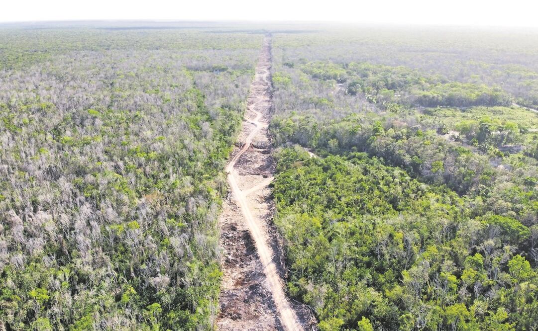 Foto: Archivo/ EL UNIVERSAL