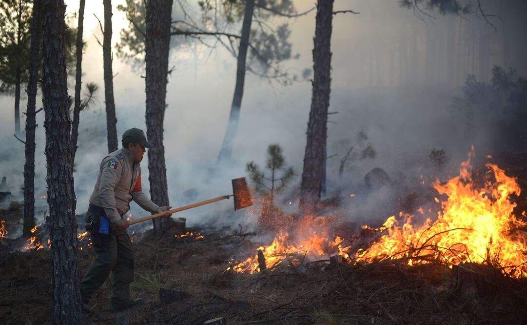 Guardabosques intentan sofocar un fuerte incendio forestal. Foto: EFE/Alberto Roa, archivo
