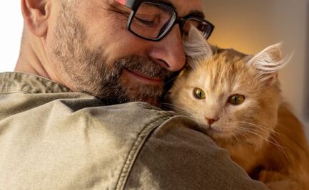 El truco infalible para ganarte la confianza de un gato en segundos; la ciencia lo explica