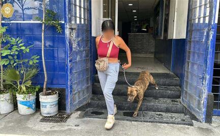 “Fritzia” regresa a casa: perrita rescatada en Viaducto es entregada a su dueña por oficiales de la SSC