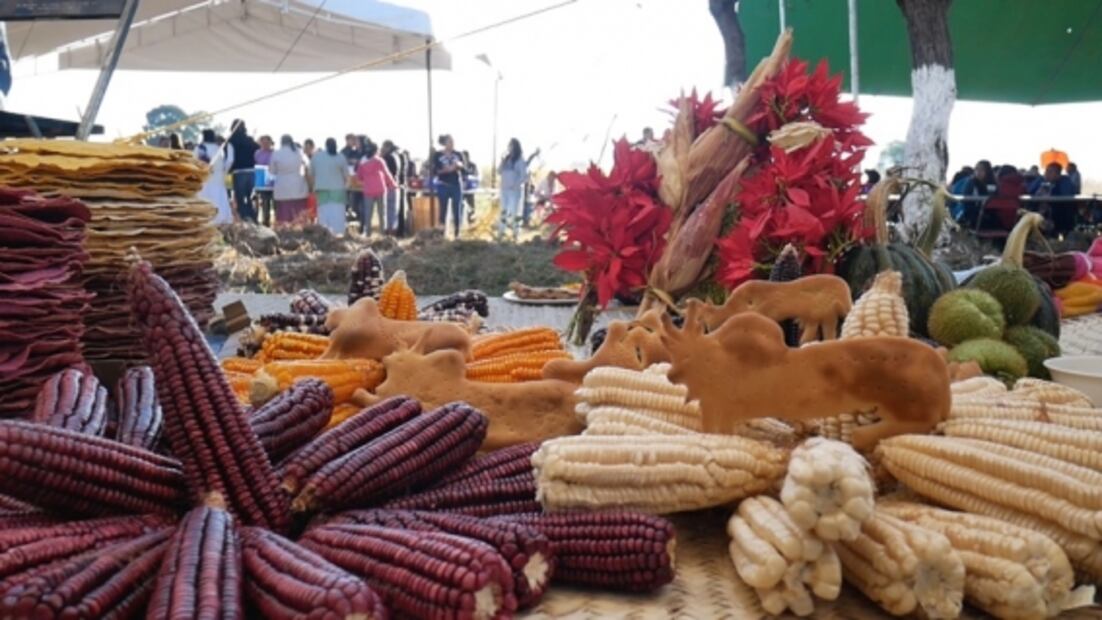 Los Guardianes del Maíz el mejor documental extranjero