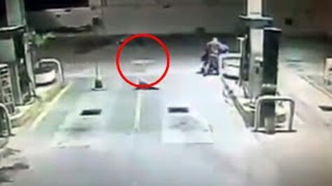 Perro evita asalto en gasolinera de Tamaulipas 