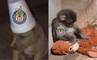 Memes reaccionan a victoria de Cruz Azul sobre Chivas