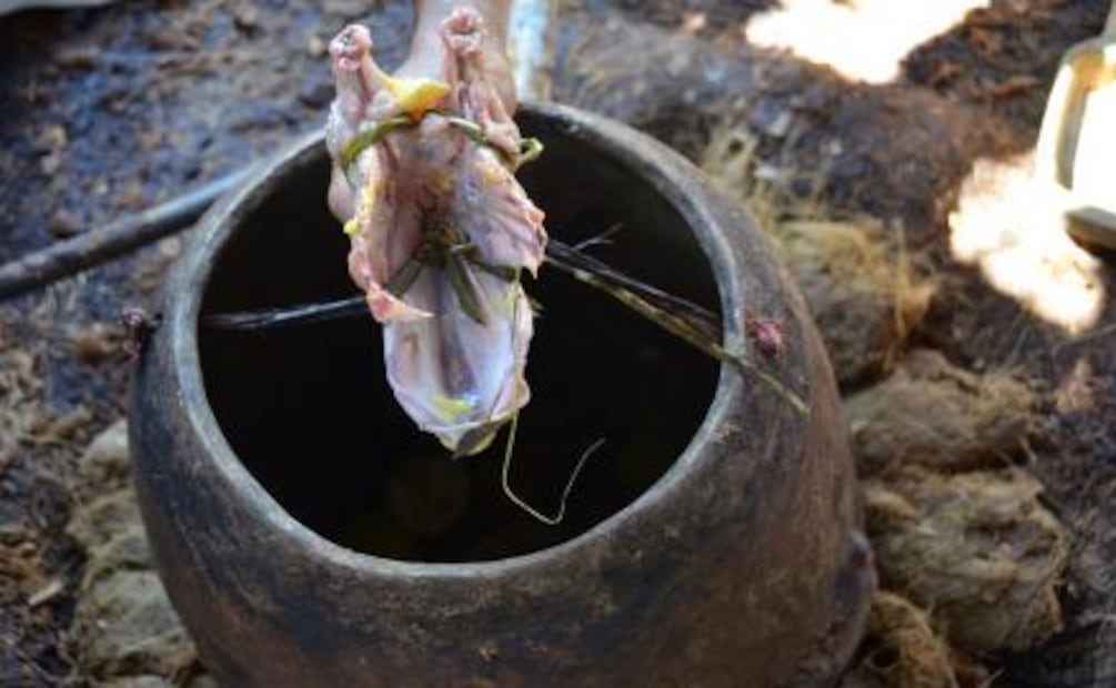 Así se elabora el mezcal de pechuga en Santa Catarina Minas